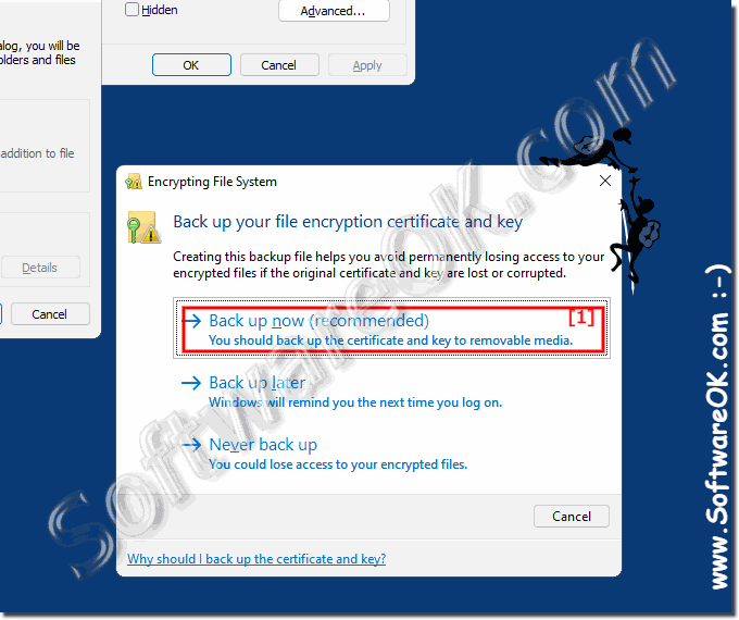 Windows 11 encrypt folders, files and secure certificate!